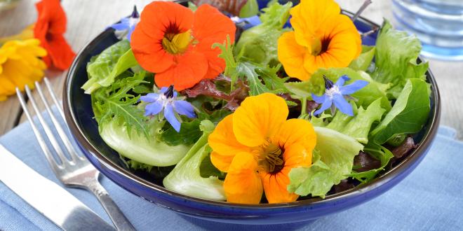 a bowl of salad topped with nasturtiums and borage